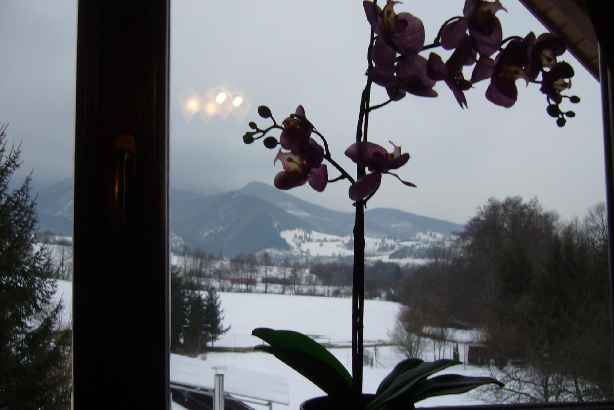 Rekreacna Chata Pod Jedlovinou, Varin Kamer foto